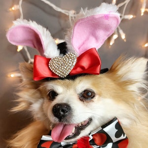 Easter Bunny hat  and bow set for dog or cat / Dog costume/Pet Halloween costume/