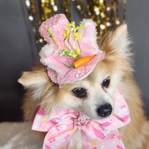 Set for your pet Easter Bunny hat  and bow set for dog or cat