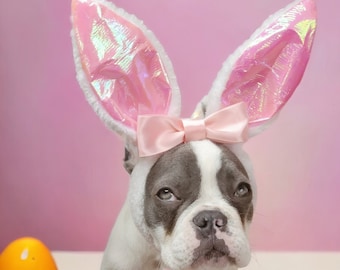 May include: A French bulldog wearing pink bunny ears with a pink bow and a pink ribbon around its neck. The dog is looking at the camera with a serious expression. There are colorful Easter eggs in the background.