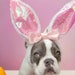 see more listings in the Bunny costume section