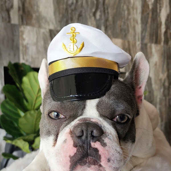 Captain hat for dog or cat  Small animal Doll /Halloween pet hat /Captain pet costume/