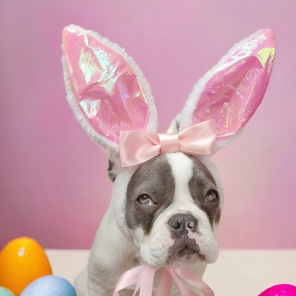Easter Bunny headband    for dog or cat /Bunny dog hat / Bunny dogs costume/