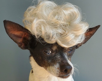 Pet   wig  for dog or cat /  Halloween pet wig / Costume  dog wig /Costume for dogs /Costume for cats/