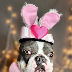 Conjunto de gorro y lazo de conejito de Pascua para perro o gato / Disfraz de perro / Disfraz de Halloween para mascota /