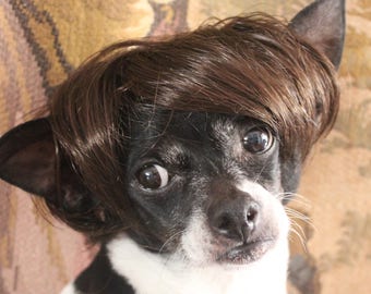 Cute pet   wig  for dog or cat/Dog costume / Cat costume / Wig for dogs / Wig for cats /