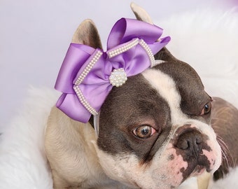 Prefect bow for you pet  /Dog headband /Pink bow for dogs/Frenchbulldog bow /