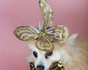 Hat for small dogs/Elegant hat with   feather and   butterfly for dog or cat /Hat for small pet /Costume for dogs/