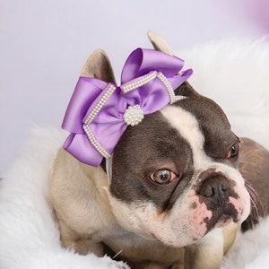 Perfecte strik voor je huisdier /Hondhoofdband /Roze strik voor honden/Frenchbulldogstrik /