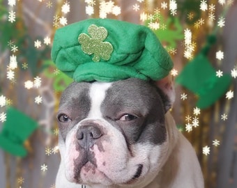 Saint Patrick's Day Pet Hat / Irischer Hut für Hunde / Filz Derby Pet Hat / Kleiner Tierhut /
