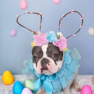 Easter Bunny headband    for large dogs /Bunny dog hat / Bunny dogs costume/