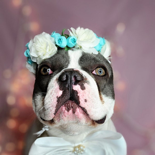 Set flower crown and neck bow / Garden Flowers Pet wedding Set /Flower Crown/ Dogs Floral Headband /Cat Flower Crown Outfits/