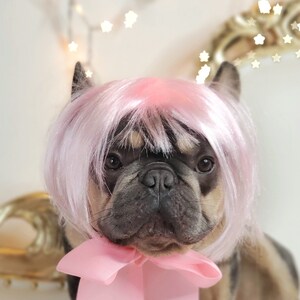 May include: A French Bulldog wearing a pink wig and a large pink bow. The dog has a black and tan coat and is sitting in front of a white background. Decorative lights are in the background.