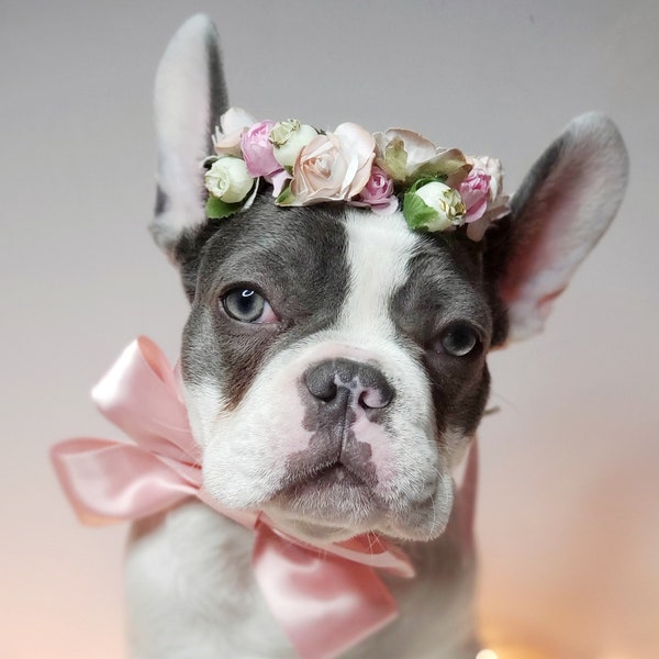 Set flower crown and neck bow / Garden Flowers Pet wedding Set /Flower Crown/ Dogs Floral Headband /Cat Flower Crown Outfits/