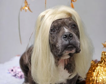 Large size blond color  wig for large dog /Halloween dog wig / Pet blond wig /Dog costume/