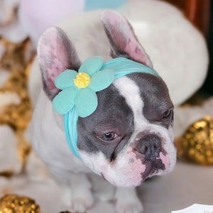 Headband  for dog or cat /headband for dogs/Pet gift/