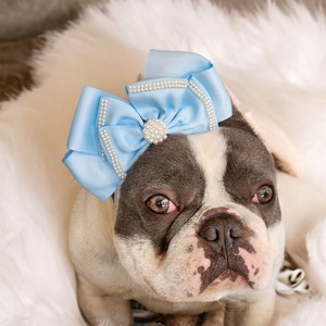 Prefecte boog voor uw huisdier/Hond hoofdband/Roze boog voor honden/Franse buldog boog/