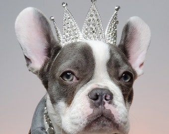 Crown   for dog or cat /Princess dog crown / Crown for dog /Princess crown/