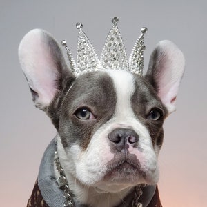 Crown   for dog or cat /Princess dog crown / Crown for dog /Princess crown/