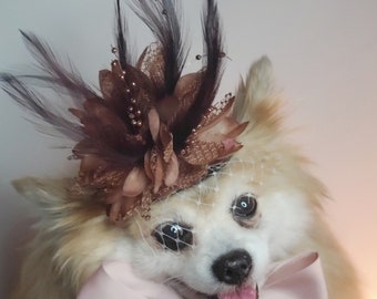 Elegant hat with   feather and   flower for dog or cat /Hat for small pet /Costume for dogs/