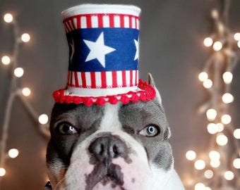 American  flag hat for pet  /Halloween pet hat /Cowboys pet hat /