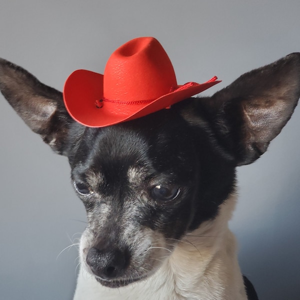 Cowboy mini  hat red color  for dog or cat /Halloween pet hat /Cowboys pet hat /