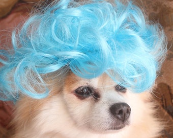 Pet   wig blue  color  for dog or cat / Halloween pet costume /Dog costume / Cat costume /