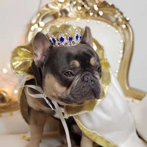Silver  color Crown   for dog or cat /Princess dog crown / Crown for dog /Princess crown/