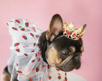 Princess Dog Crown: Silver Color Pet Crown, Adjustable Elastic