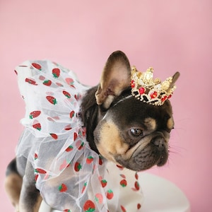 Silver color Crown   for dog or cat /Princess dog crown / Crown for dog /Princess crown/