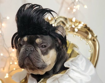 Elvis wig / Cute  black color wig  for your pet /Halloween  costume dog wig/Dog costume/