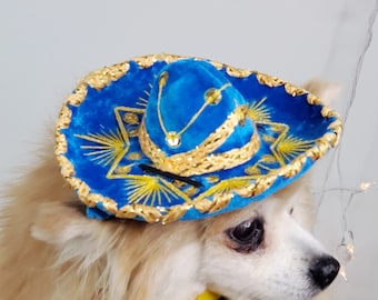 Conjunto de anuncios Lindo sombrero sombrero y pajarita para perro o gato