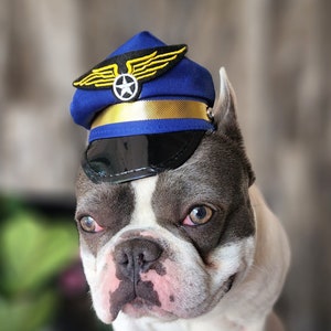 Pilot hat for dog or cat  Small animal Doll /Halloween pet hat /Pilot  pet costume/