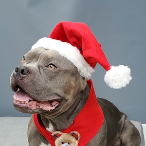 Christmas  Santa  hat   with neck  scarf  for  large size dog the listing is for the set
