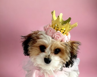 Gold Color Crown for Dog or Cat, Elegant Pet Accessory