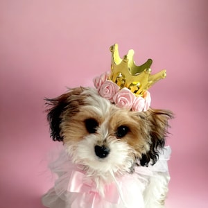 Gold color crown for dog or cat / Gold color dogs crown /