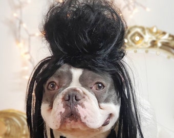 May include: A white and gray French bulldog wearing a black wig and a white lace collar with a black bow. The dog is sitting on a white surface.