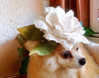 Hundemütze / Kleine Hundemütze / Süße Mütze mit elfenbeinfarbenen Blumen für Hund oder Katze
