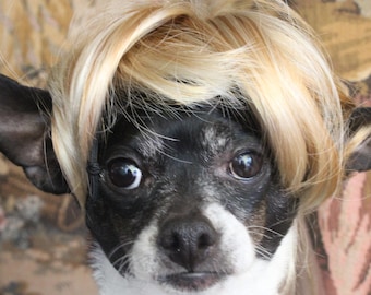 Pet  blond  wig  for dog or cat /Halloween dog costume / Dog costume / Cat costume /