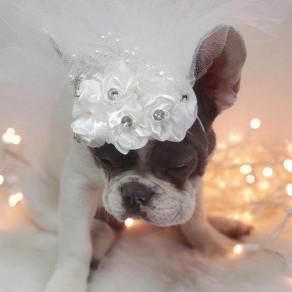 Veil for pet/ Cute bridal  veil  with white flowers for dog and cat /Veil for dogs /