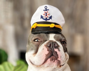 Chapeau de capitaine pour chien ou chat Petit animal Poupée / Chapeau d’halloween / Costume d’animal de compagnie de capitaine /