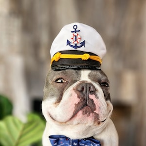 Captain hat for dog or cat  Small animal Doll /Halloween pet hat /Captain pet costume/