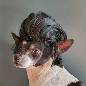 John Travolta Cute  black color wig  for your pet /Halloween  costume dog wig/Costume for dogs /