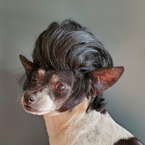 John Travolta Cute  black color wig  for your pet /Halloween  costume dog wig/