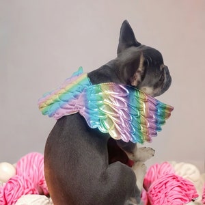 Hondenkostuum /Halloweenvleugels voor honden /hondenkostuum / Halloweenkostuum/Vleugels voor honden /
