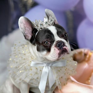 Ensemble couronne avec lien pour chien ou chat/ensemble princesse/