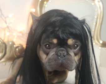 Pet   wig black  color  for dog or cat /Halloween costume wig for pet /Dog costume/