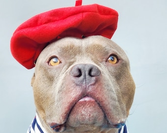 Beret  hat red color  for large dog Hat for large pet /Halloween dog costumes/