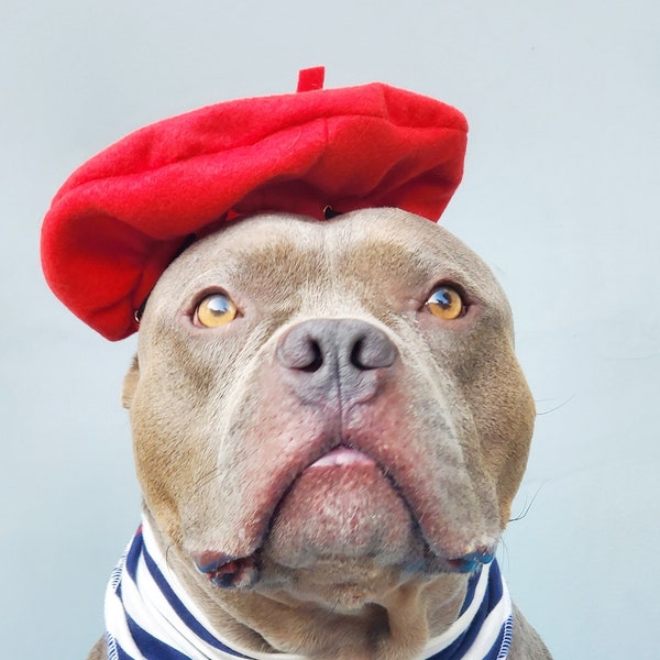 Beret  hat red color  for large dog Hat for large pet /Halloween dog costumes/