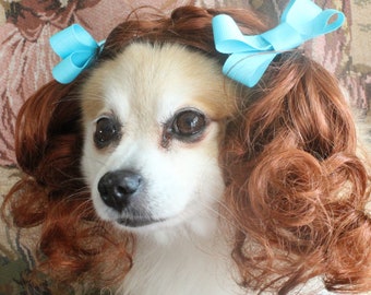 Pet   wig   for dog or cat with cute bow blue color /Halloween wig for dog /Halloween cat costume / Halloween  pet wig /