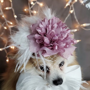 Elegant hat with   feather and   flower for dog or cat /Hat for small pet /Costume for dogs/Hat for small dog/